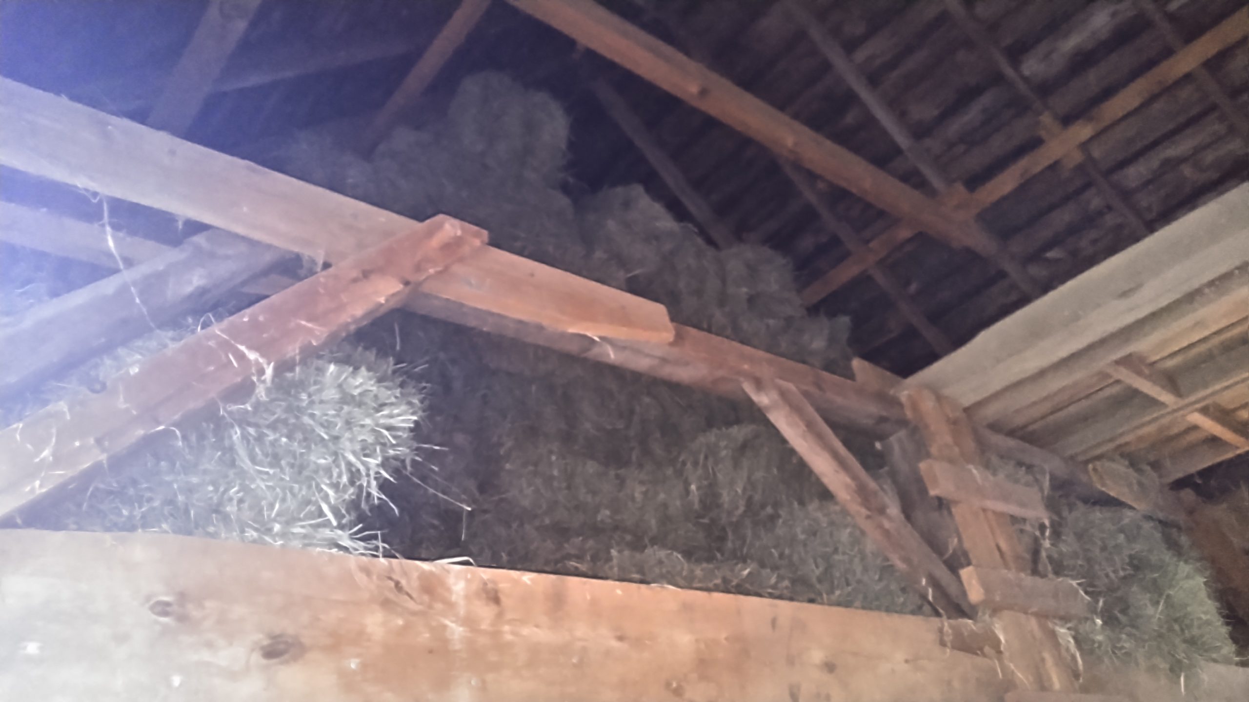 Picture of hayloft with hay